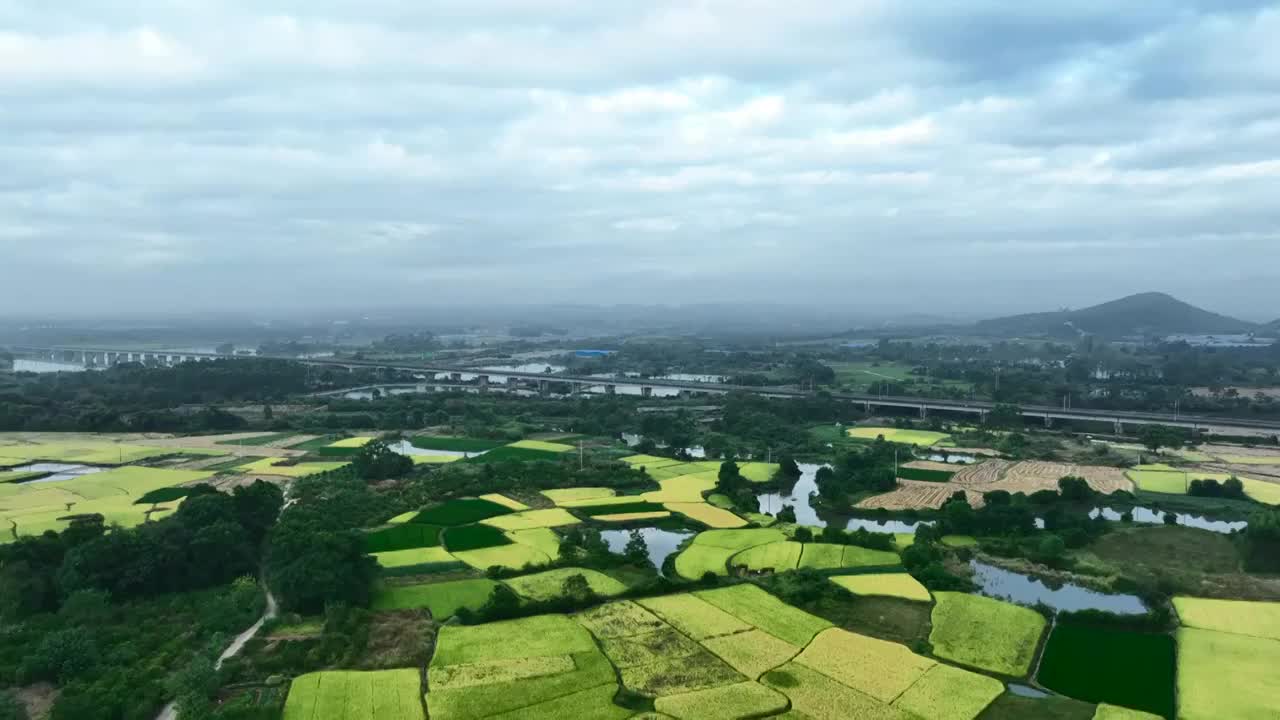 秋天阳光下穿过田野大地的高速列车视频素材