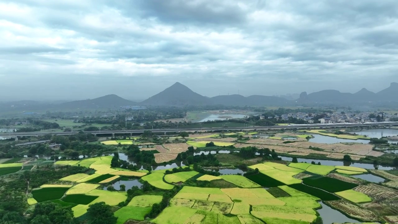 秋天阳光下穿过田野大地的高速列车视频素材