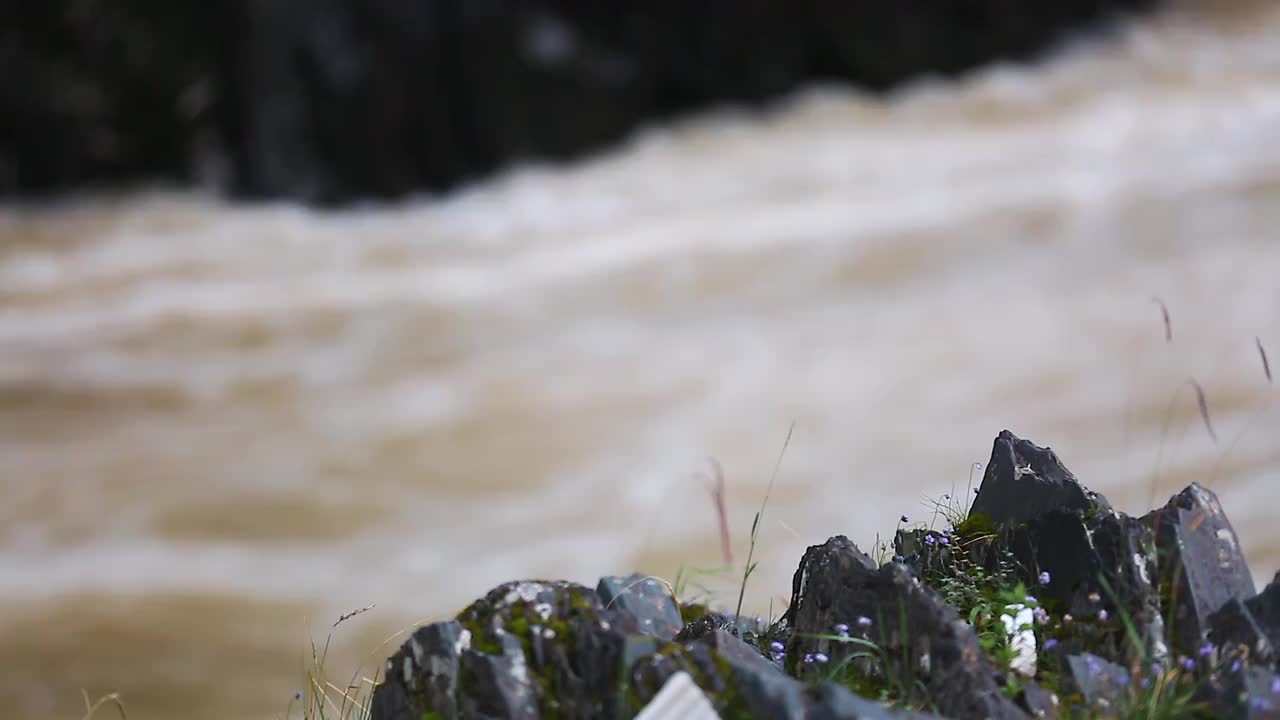 峡谷河流森林视频素材