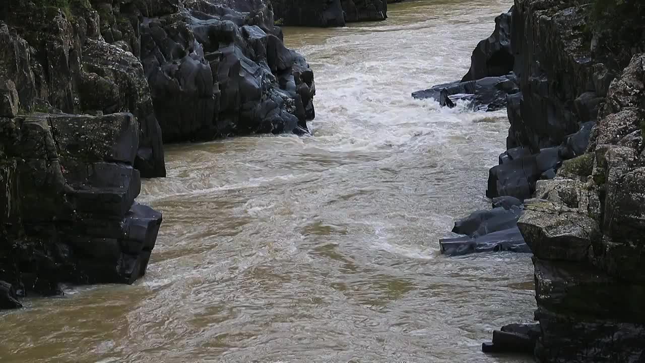 峡谷河流森林视频素材