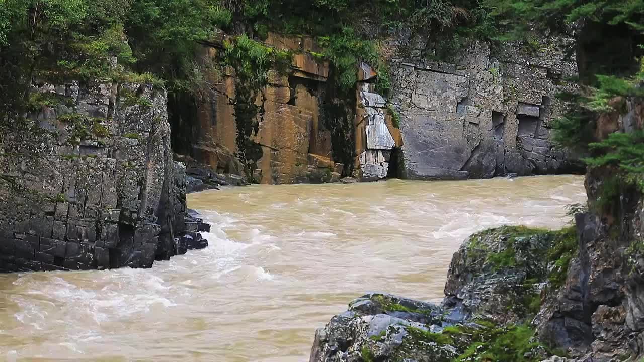 峡谷河流森林视频素材