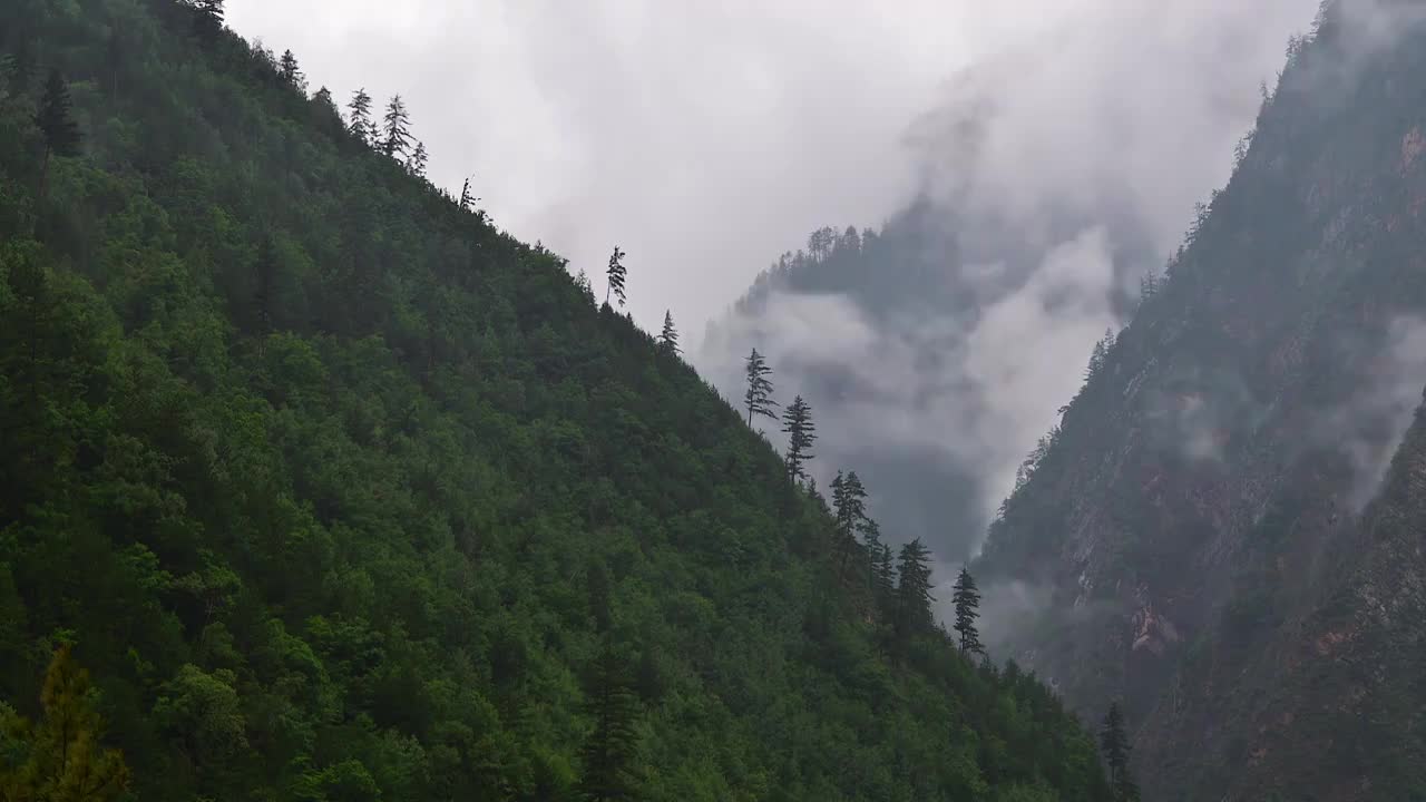 山峰森林云雾缭绕延时视频素材