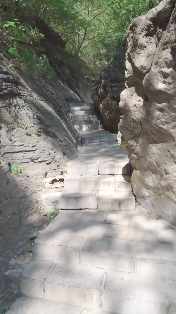 阳光山路视频素材