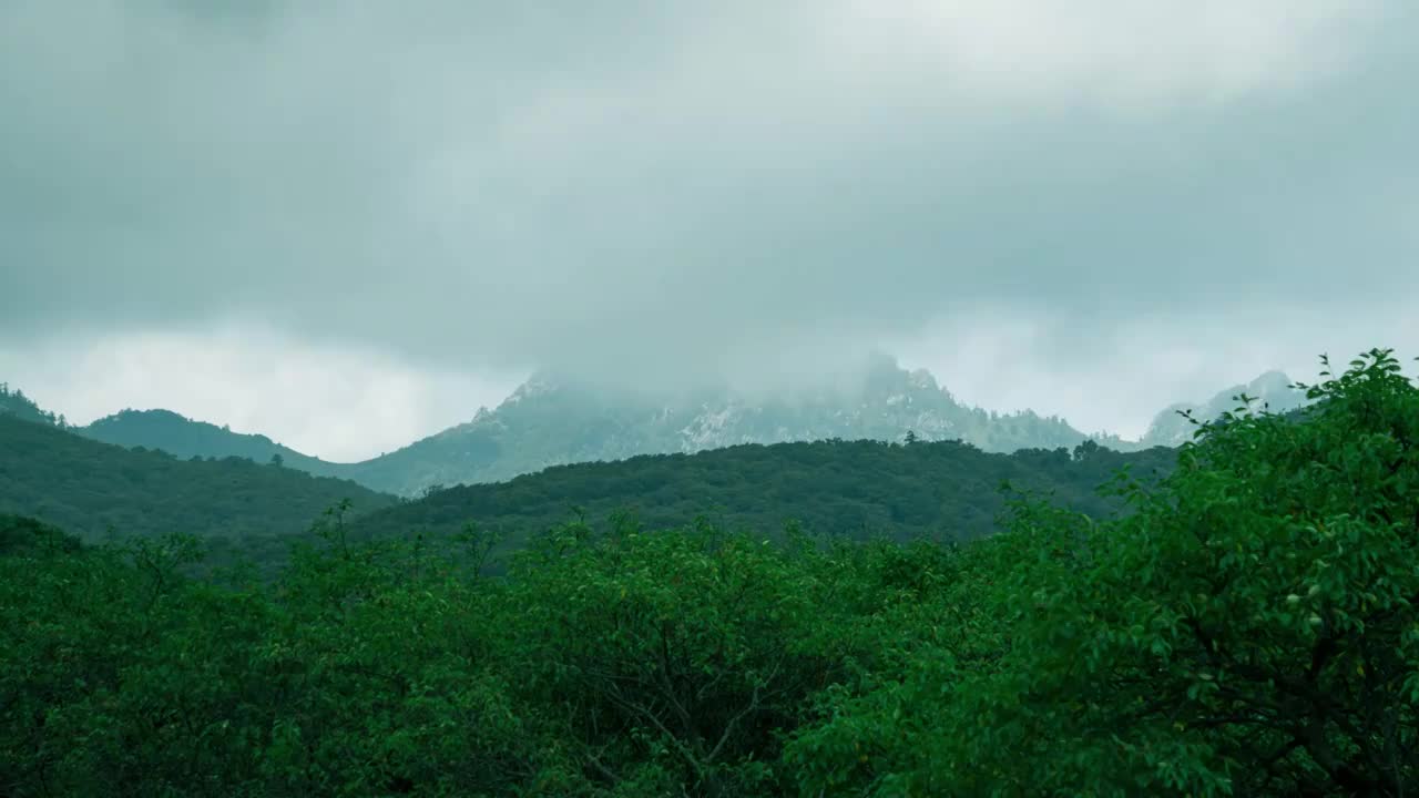 秦岭深处视频素材