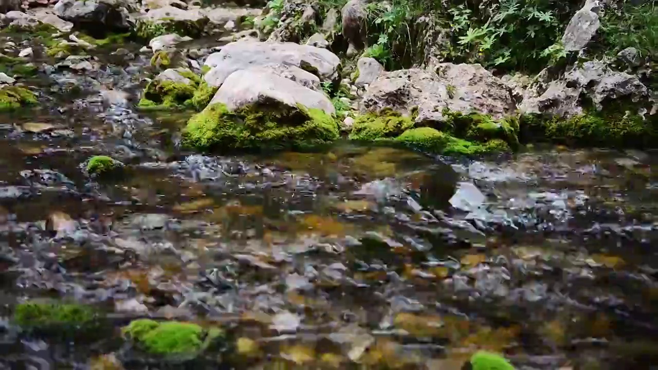 绿色小溪溪水石头视频素材