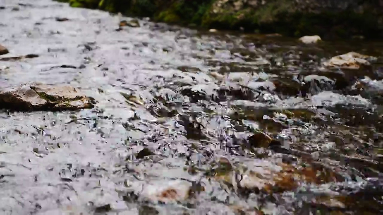 溪水石头流动视频素材