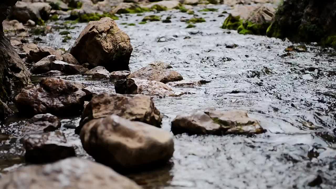 溪水石头流动视频素材