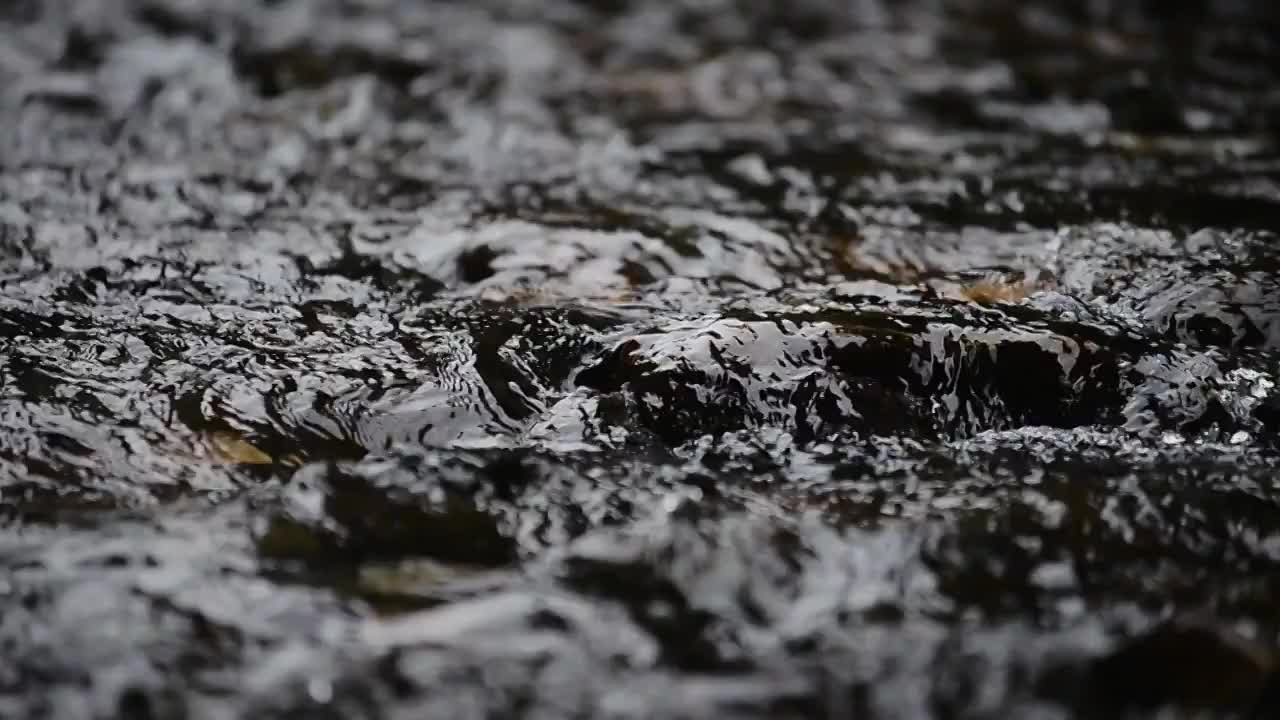 溪水石头流动视频素材