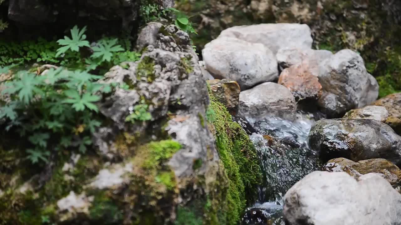 溪水石头流动视频素材