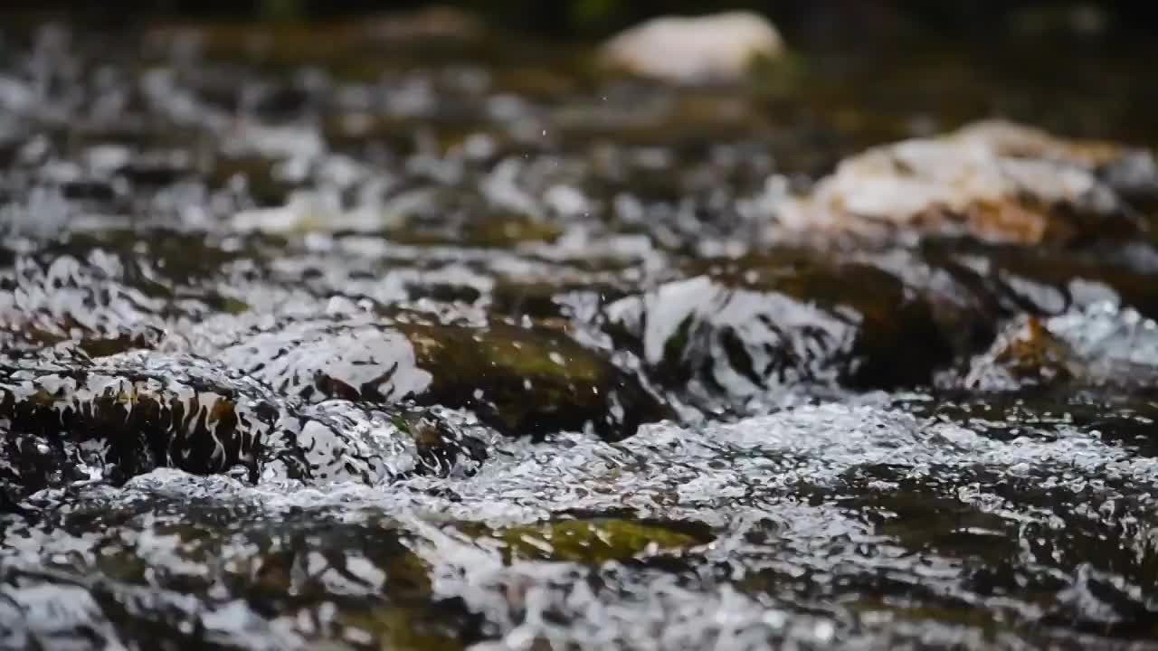 溪水石头流动视频素材