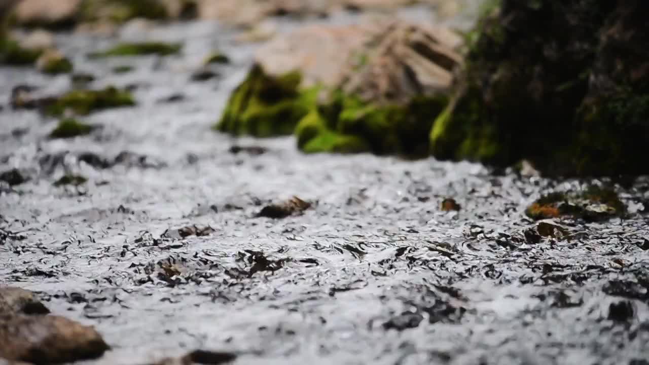 溪水石头流动视频素材