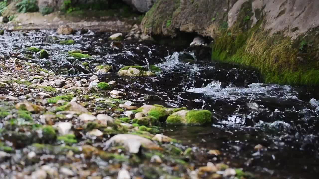 溪水石头流动视频素材