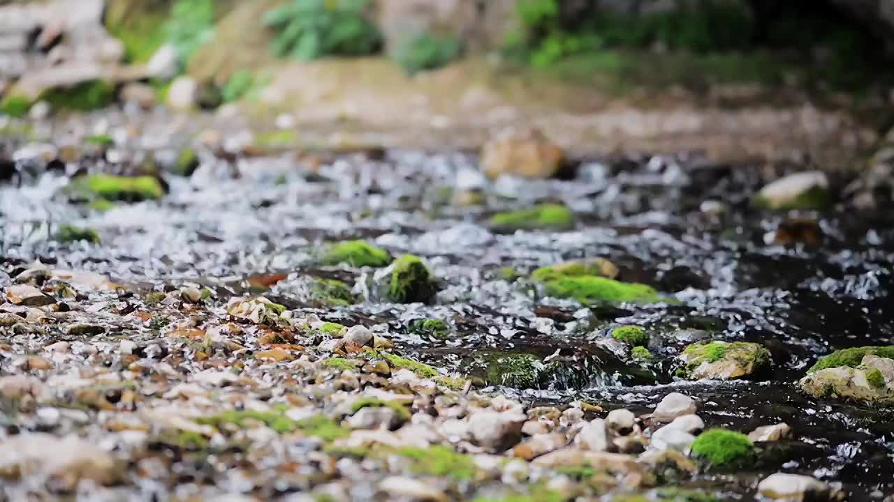 溪水石头流动视频素材