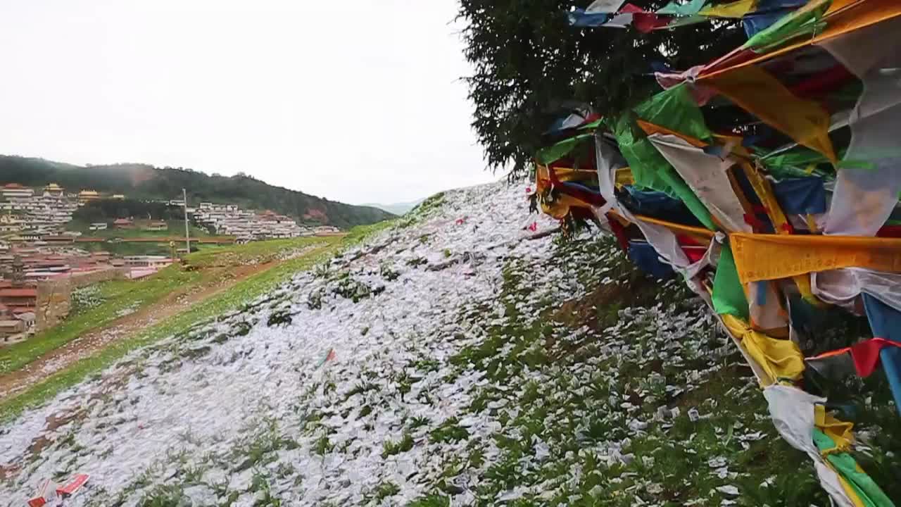 撒在地上随风飘动的龙达视频素材