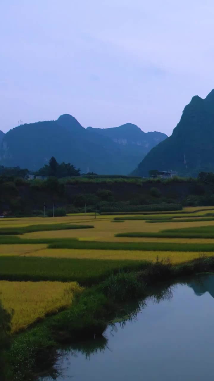 高清竖屏航拍靖西平江清晨景象（合集）视频素材