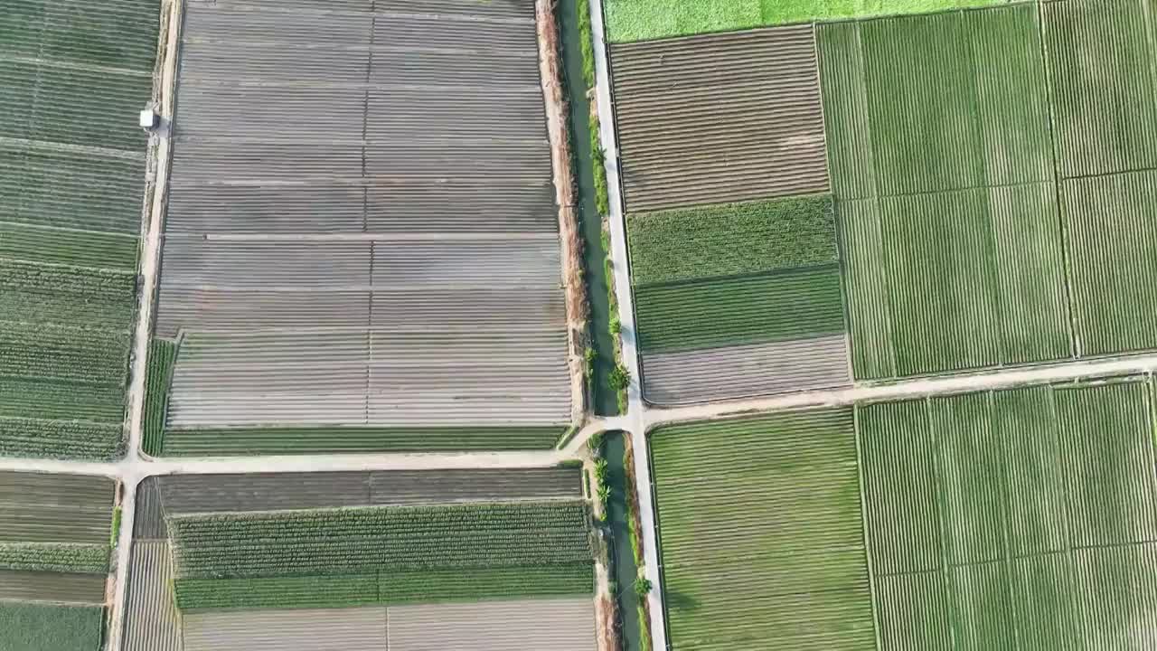 航拍福建漳州龙海农业种植田地视频素材