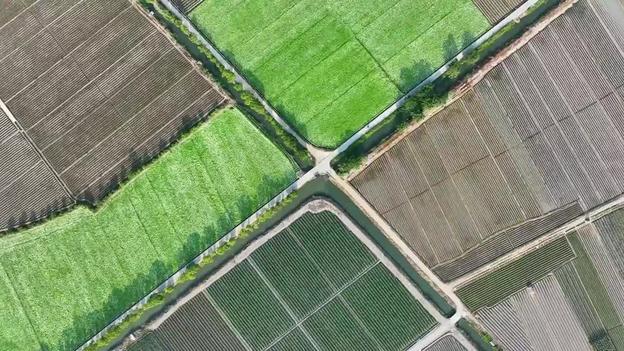 航拍福建漳州龙海农业种植田地视频素材