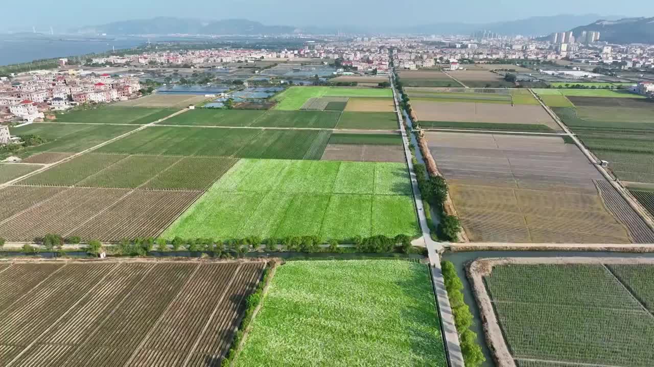 航拍福建漳州龙海田园风光视频素材