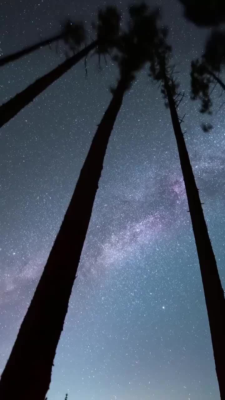 星空延时：江西明月山树丛银河视频素材