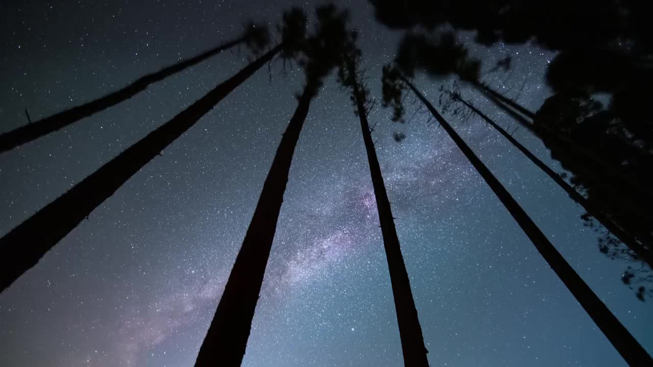 星空延时：江西明月山树丛银河视频素材