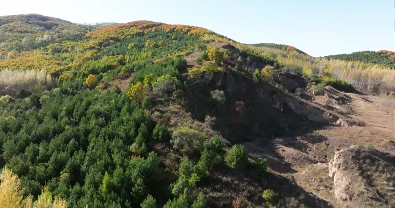 航拍秋季完达山视频素材