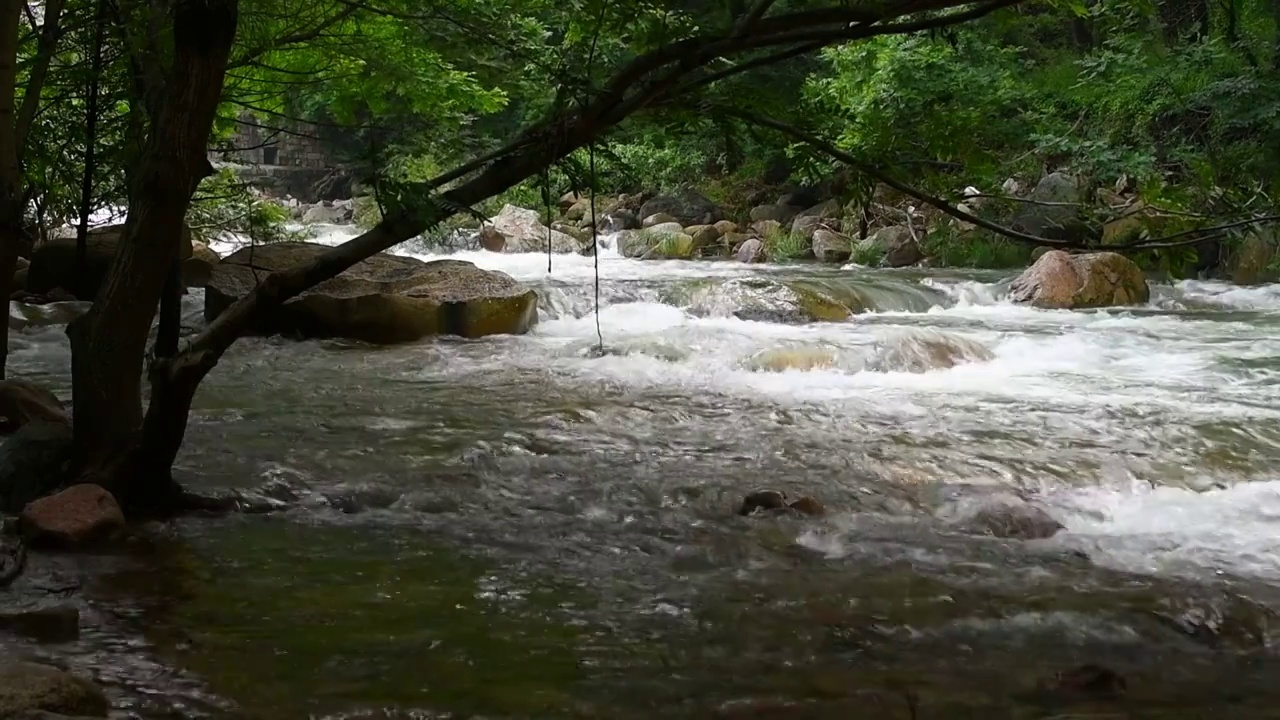 山东青岛崂山北九水雨后视频素材