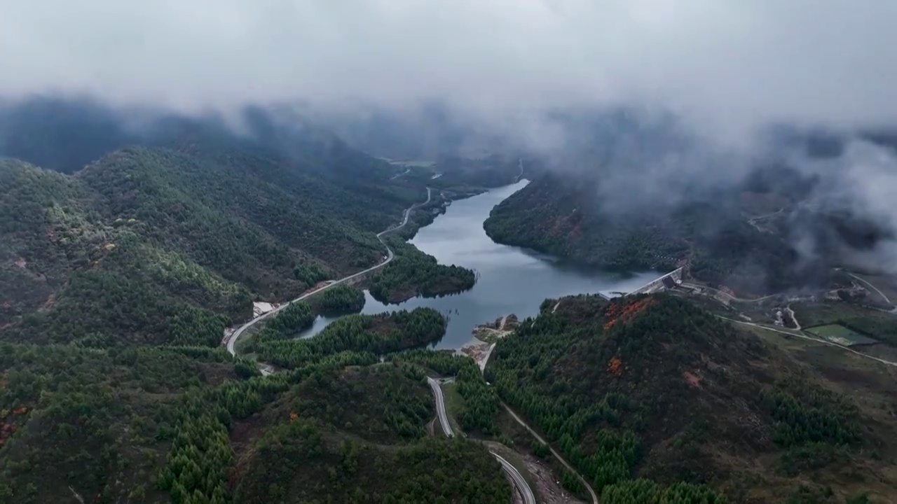 重庆红池坝：群山松林染  高山牧草青视频素材