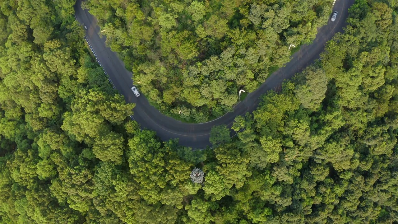 森林中的公路视频素材