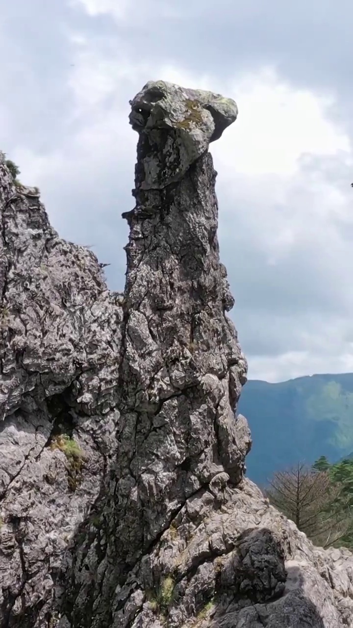 岩石，神农架板壁岩，神农顶风景区，山上的岩石视频素材