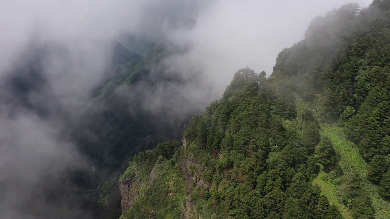 神农架，神农谷，夏天的神农架的山谷，云雾缭绕，宛若仙境视频素材