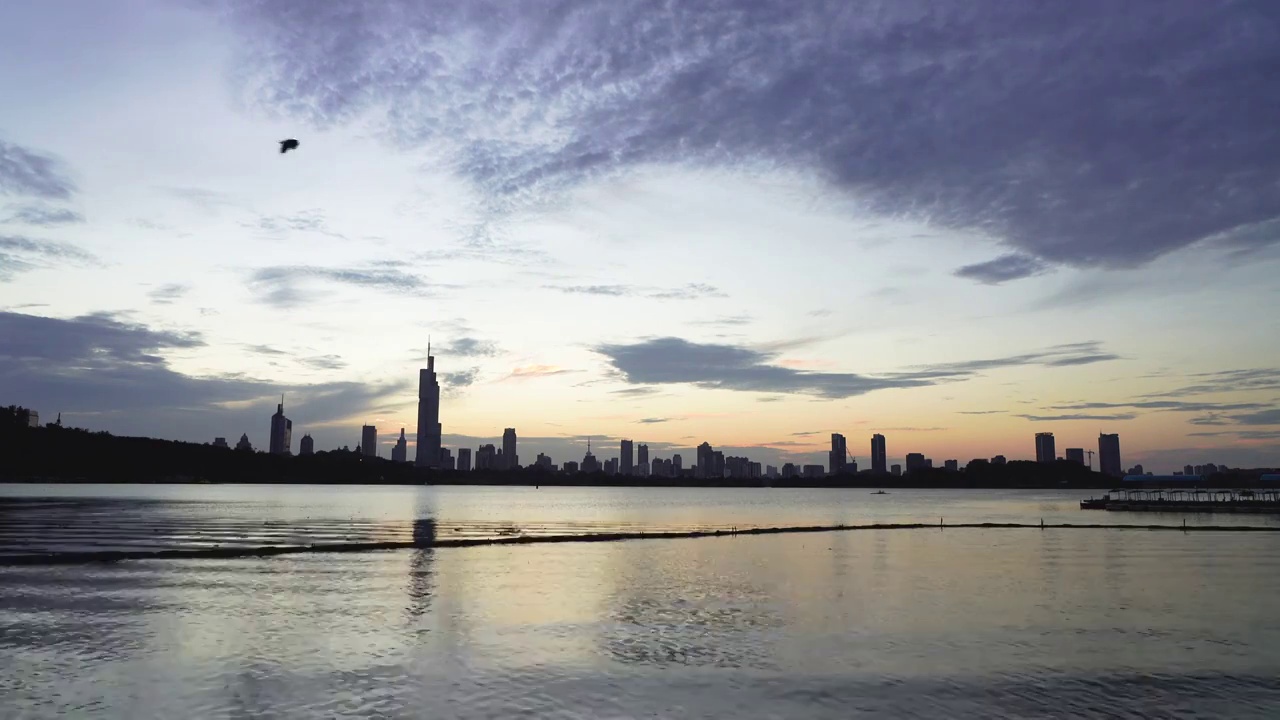 黄昏时分飞鸟飞过南京玄武湖湖面视频素材