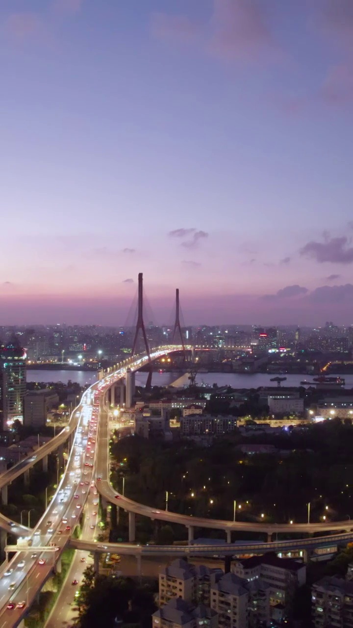 中国上海浦东新区杨浦大桥夜景视频视频素材