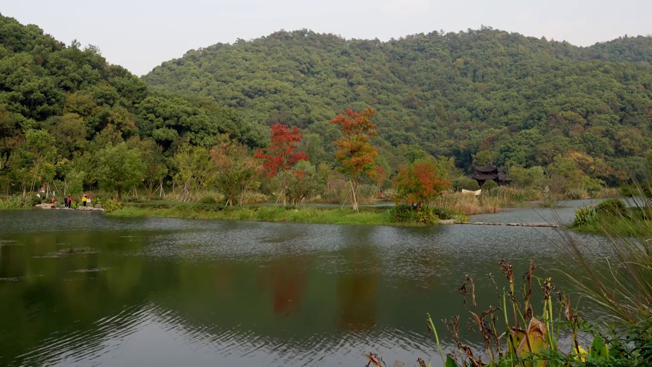 铜鉴湖视频下载