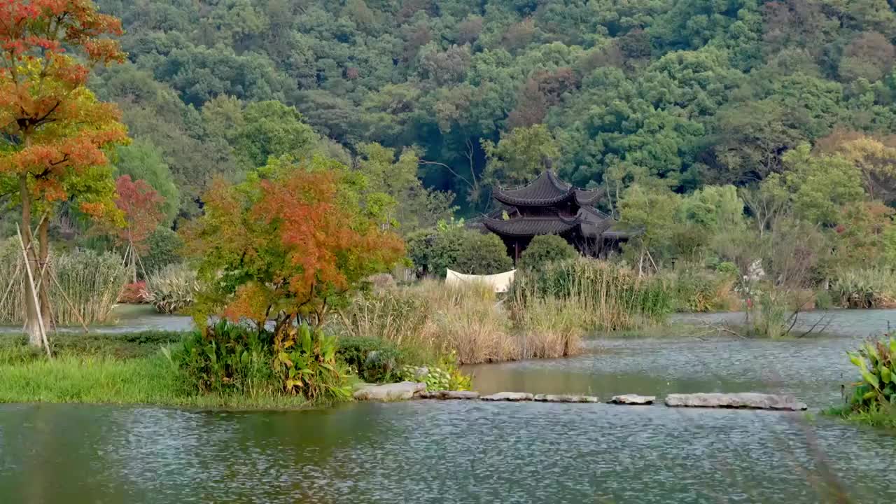 铜鉴湖视频下载