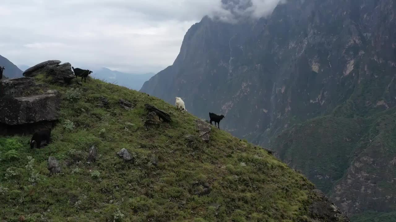 云南香格里拉中虎跳峡徒步航拍风光视频素材