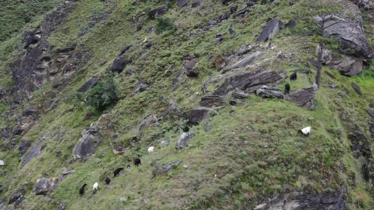 云南香格里拉中虎跳峡徒步航拍风光视频素材