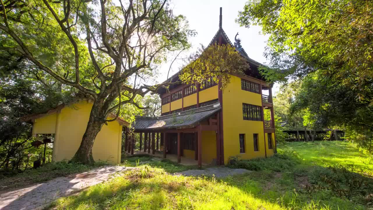 太阳从寺庙前的树梢落下视频素材