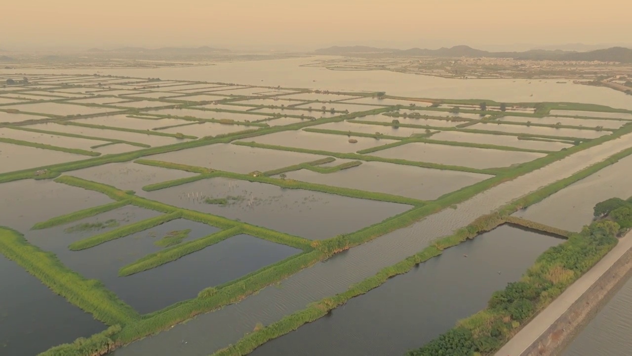 澄海义丰溪湿地风光视频素材