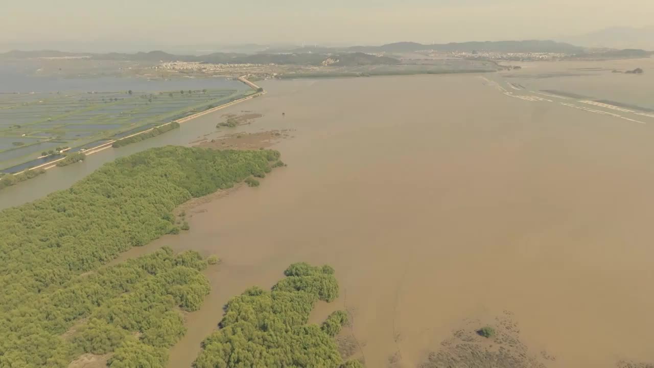 澄海义丰溪湿地风光视频素材