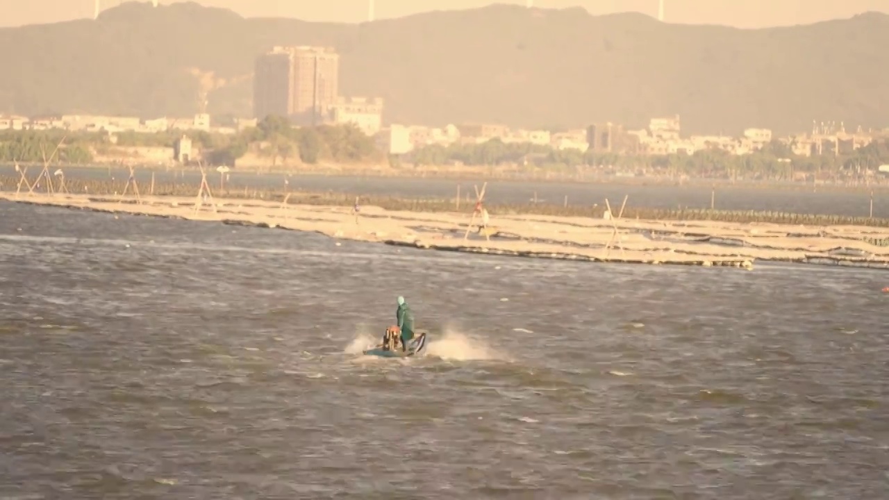 澄海义丰溪湿地风光视频素材