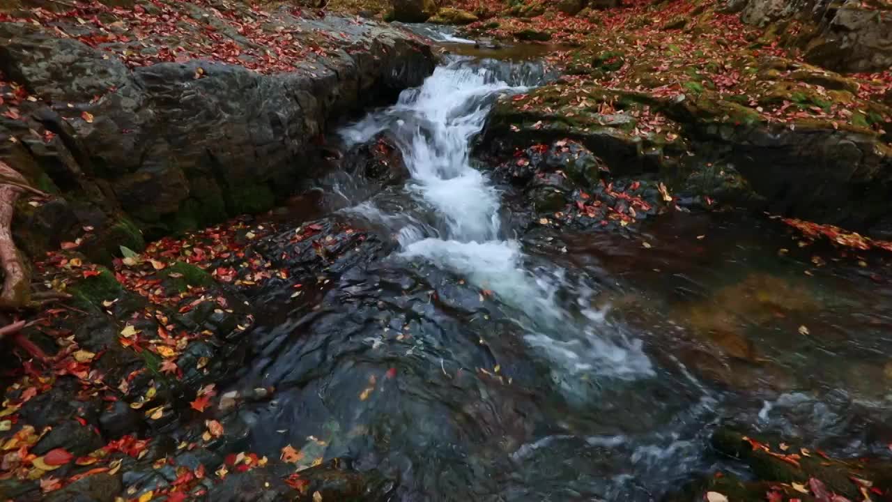 枫叶与瀑布，秋天的红叶与水流，本溪关门山的秋天，关门山国家森林公园视频素材