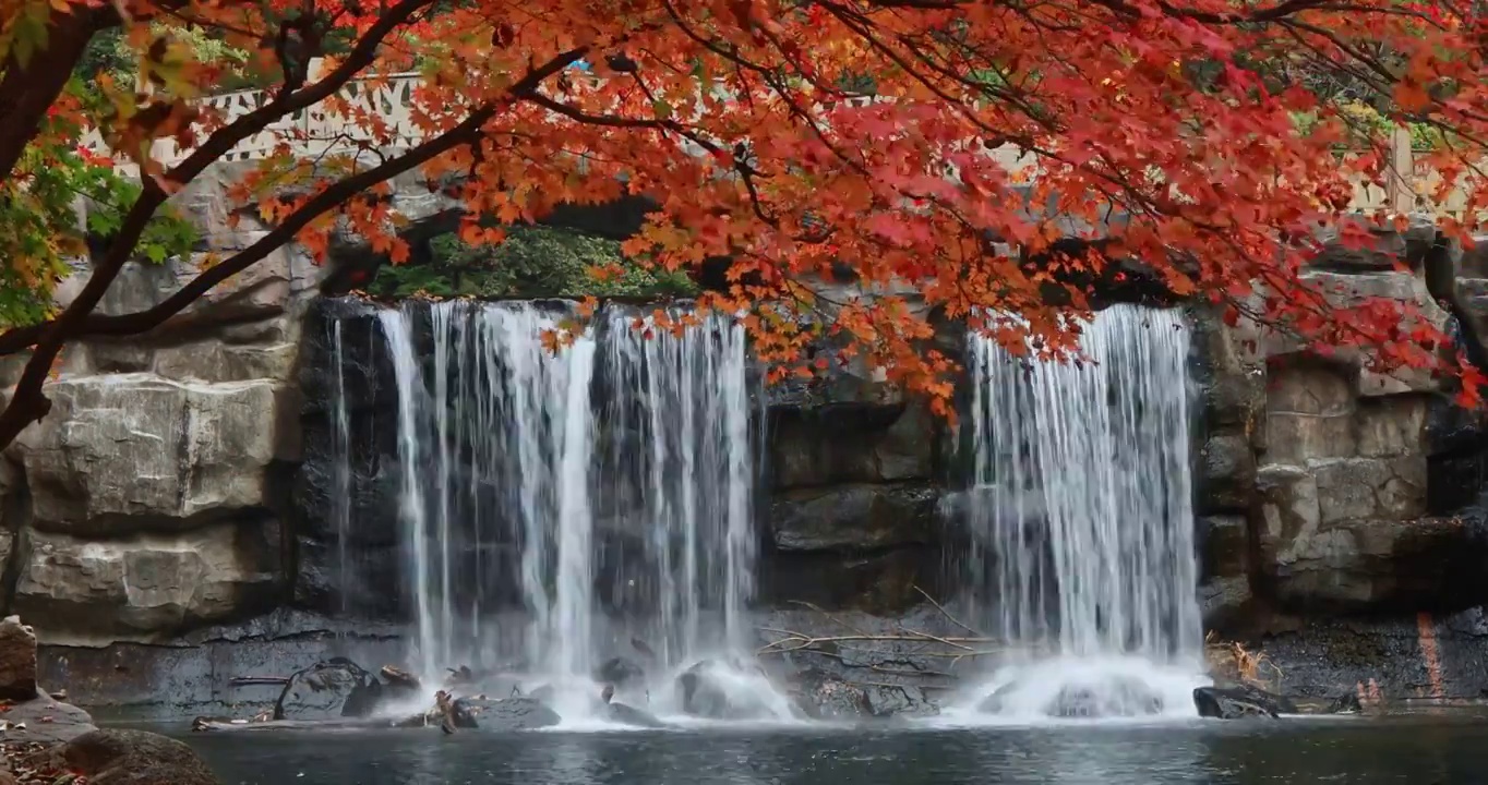 枫叶与瀑布，秋天的红叶与水流，本溪关门山的秋天，关门山国家森林公园视频素材