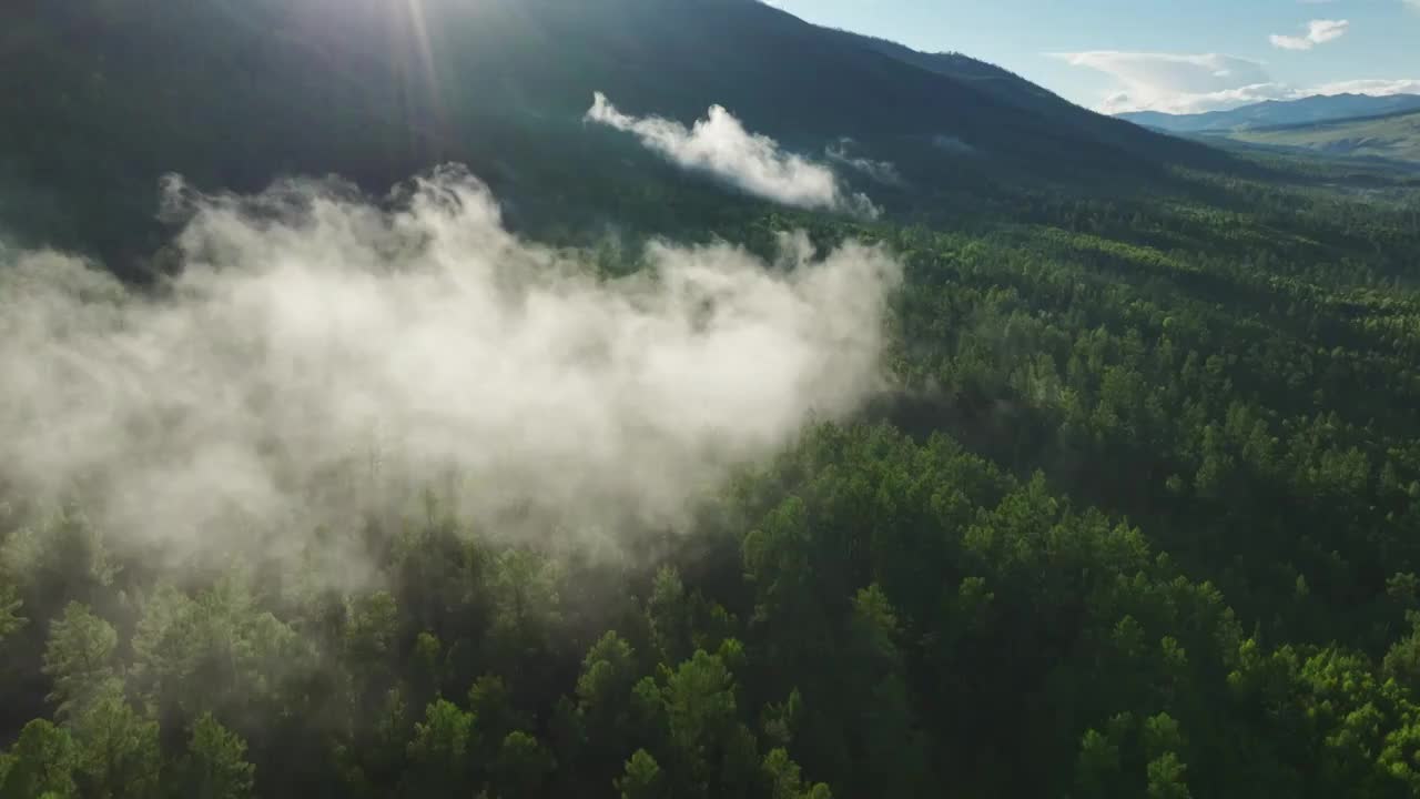 喀纳斯森林云雾航拍视频素材