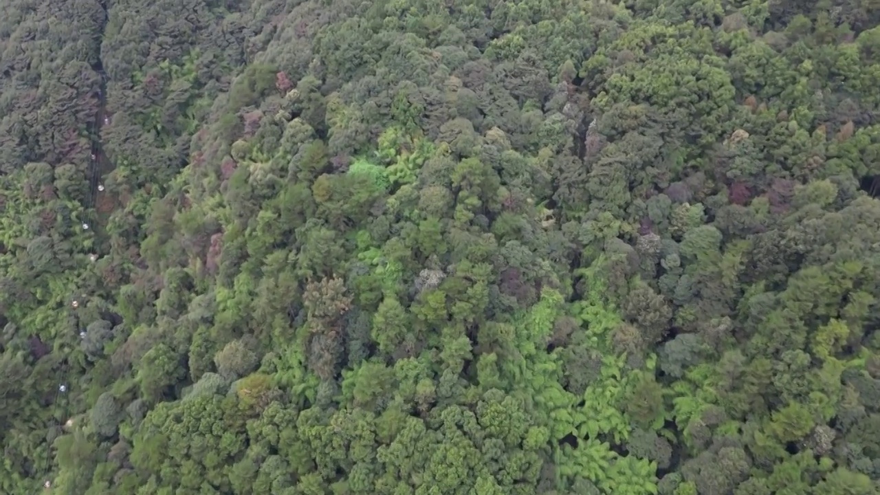 重庆缙云山森林植被与观景塔航拍视频素材