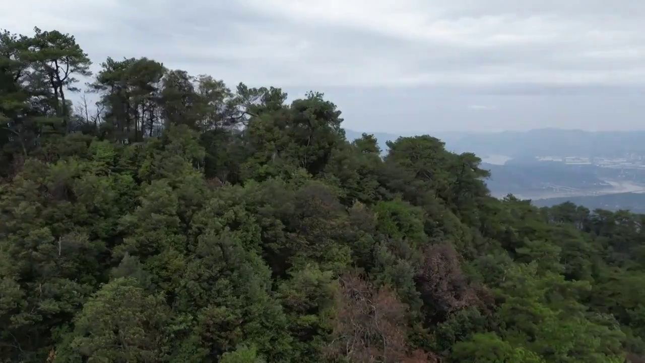 重庆缙云山森林植被平移航拍镜头视频素材