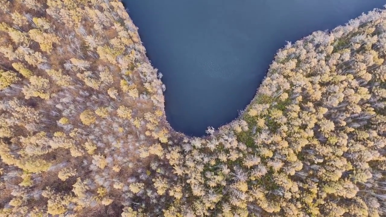 秋天美丽的森林湖泊（阿尔山）视频素材