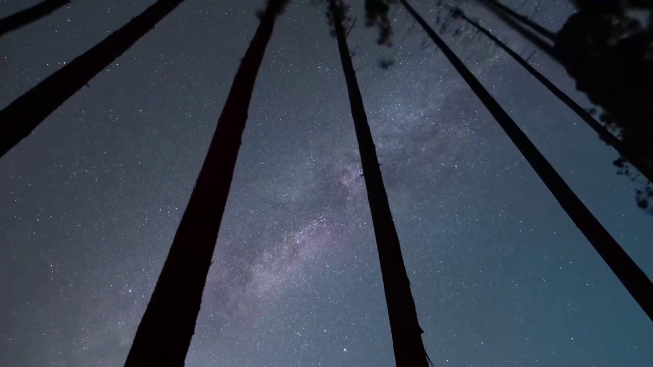 星空延时：江西明月山树丛里的银河视频素材