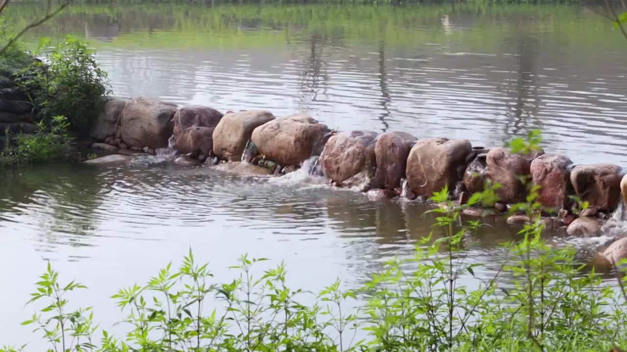 清澈的溪水从石头间流过视频素材