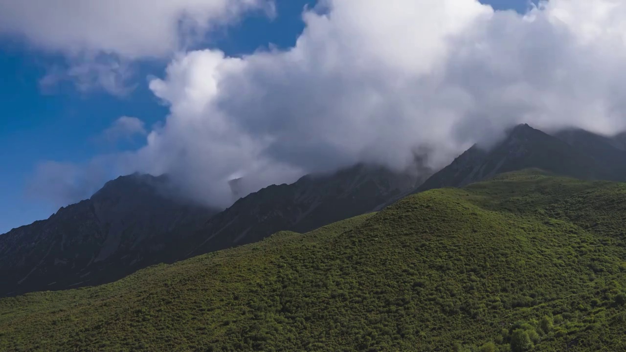 夏天的果什则山视频下载