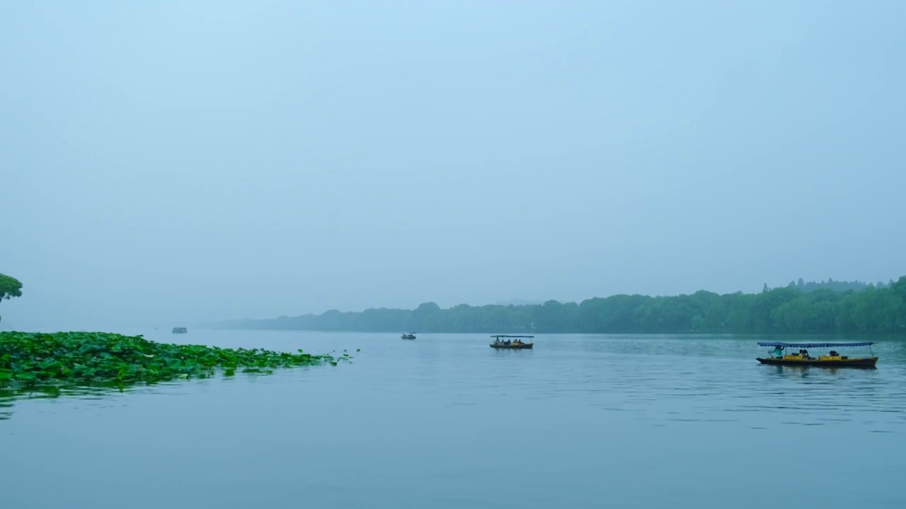 浙江杭州西湖旅游景区湖泊荷叶风光视频素材